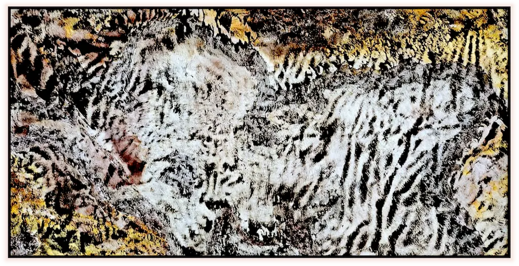SAFARI